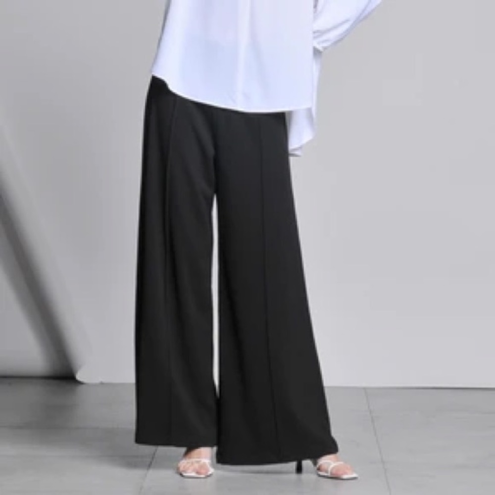 Zara Satin Wide Leg Pull on Pants